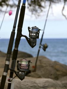 New law aims to reel in fishing violations